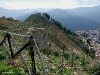 stello di Tripi-22-10-2017 20-41-04
